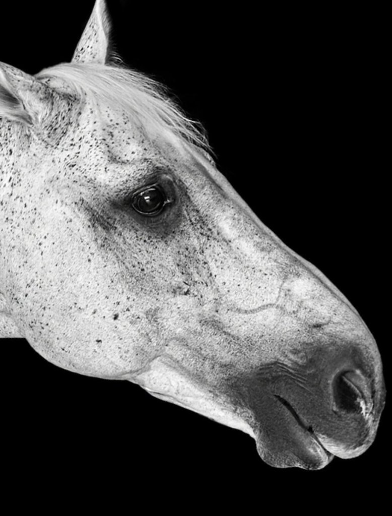 CSI 5*W A Coruña 2024